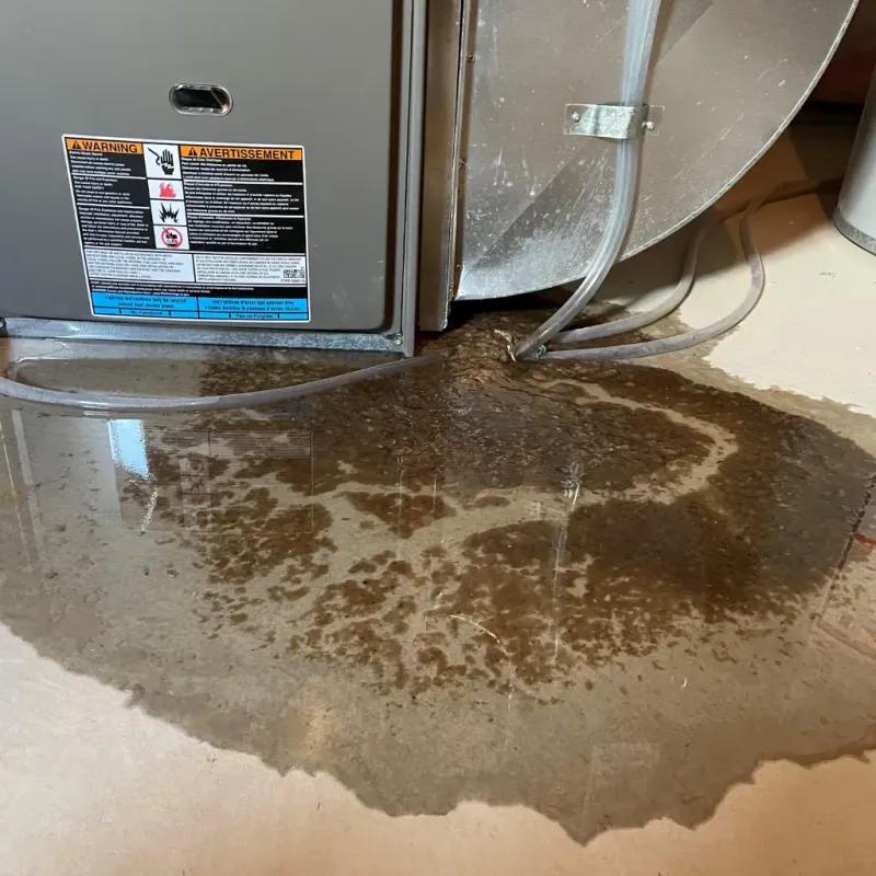 Appliance Leak Cleanup in Lumpkin County, GA